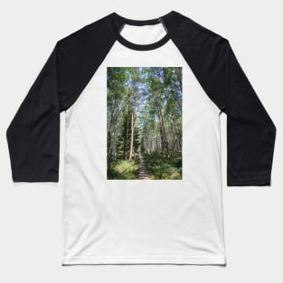 Wooden Path Baseball T-Shirt